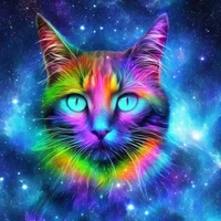 Mateusz Dziemian's profile picture