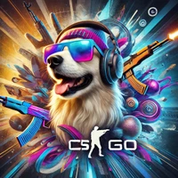 Bowen Qin's profile picture